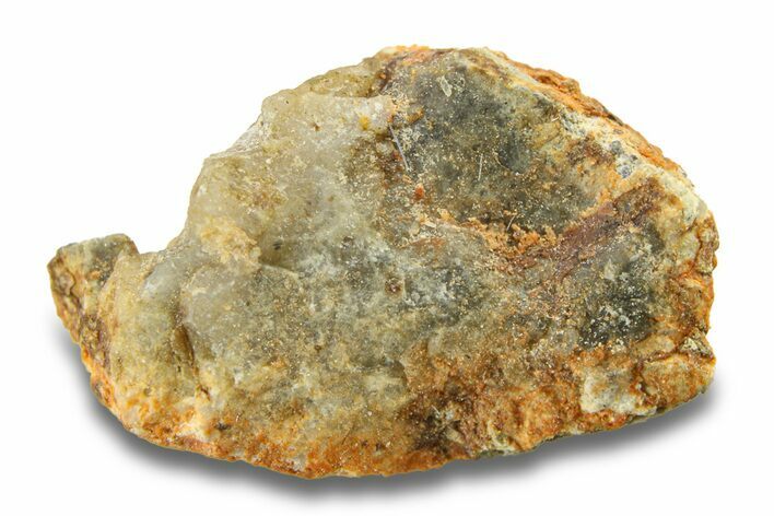 Lunar Meteorite Fragment - Bechar #280899